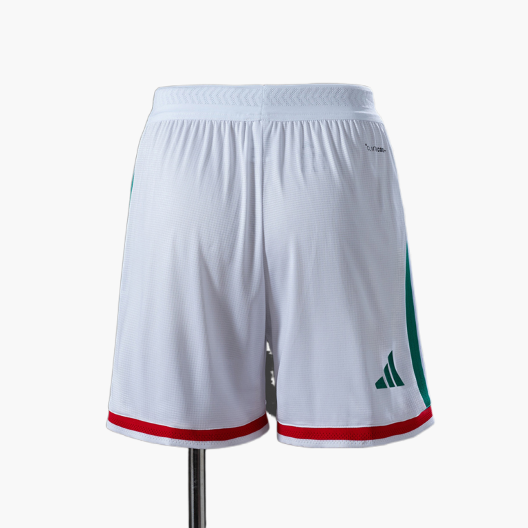 Mens Mexico 2026 World Cup Home World Cup Shorts Player Version