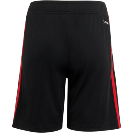 Mens Mexico 2026 World Cup Third Black World Cup Shorts