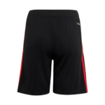 Mens Mexico 2026 World Cup Third Shorts