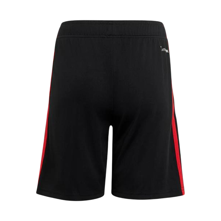 Mens Mexico 2026 World Cup Third Shorts