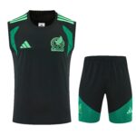Mens Mexico 2026 World Cup World Cup Blue Training Vest