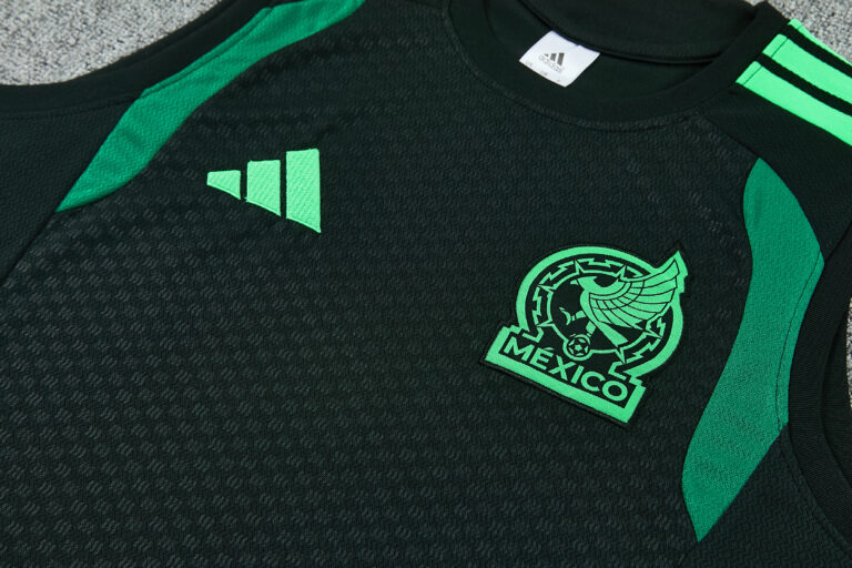 Mens Mexico 2026 World Cup World Cup Blue Training Vest