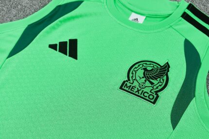 Mens Mexico 2026 World Cup World Cup Green Training Vest