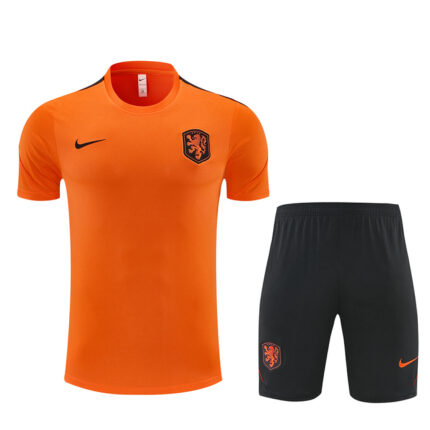 Mens Netherlands 2026 World Cup Orange Training Jersey