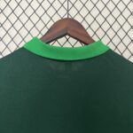 Mens Palmeiras 2024/25 green Polo