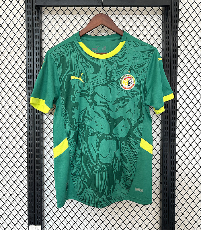 Mens Senegal 2025 Away Jersey