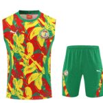 Mens Senegal 2025 Yellow Training Vest