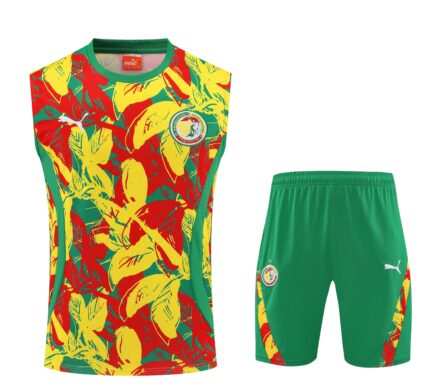 Mens Senegal 2025 Yellow Training Vest