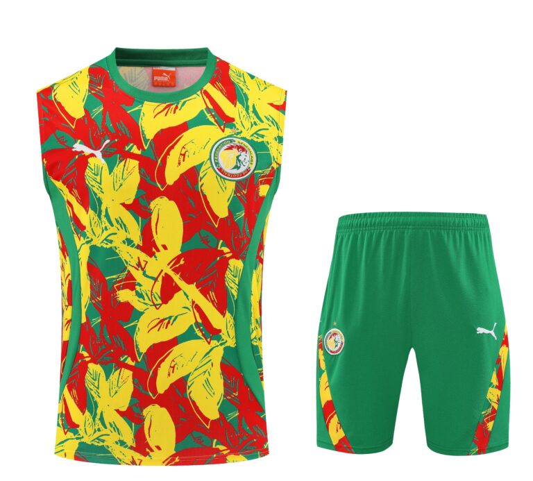 Mens Senegal 2025 Yellow Training Vest