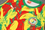 Mens Senegal 2025 Yellow Training Vest