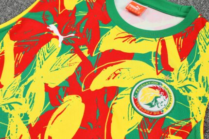 Mens Senegal 2025 Yellow Training Vest