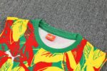 Mens Senegal 2025 Yellow Training Vest