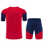 Mens Spain 2026 World Cup Red Training Jersey