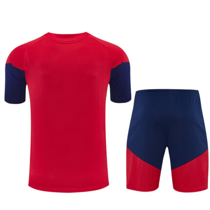 Mens Spain 2026 World Cup Red Training Jersey