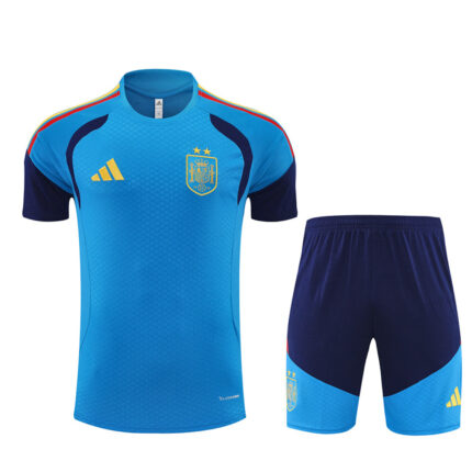 Mens Spain 2026 World Cup Two-star Edition Light Blue Training Jersey