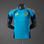 Mens Spain 2026 World Cup World Cup Blue Training Jersey Player Version