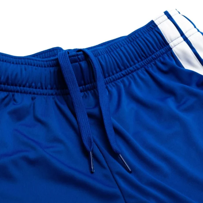 Mens Sweden 2026 World Cup Home World Cup Shorts