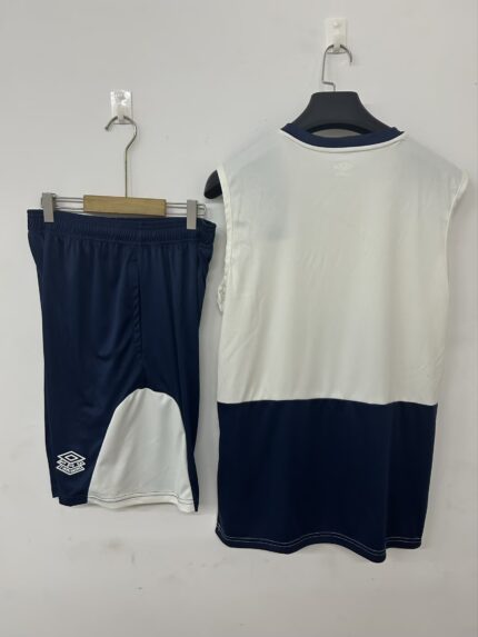 Mens West Ham United 2025/26 beige Training Vest