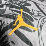 Netherlands 2024/25 Euro Jordan Version Jersey Player Version