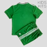 Northern Ireland 2022 Home Kids Kit