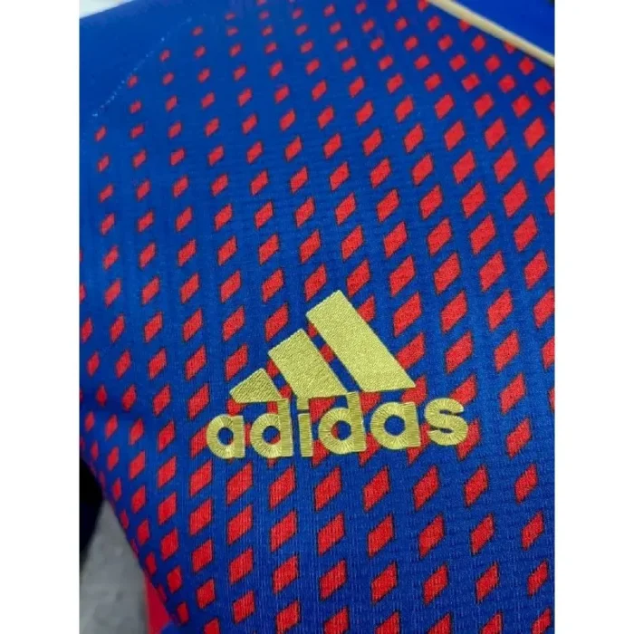 Olympique Lyonnais 2023/24 Special Edition Jersey Player Version