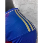 Olympique Lyonnais 2023/24 Special Edition Jersey Player Version