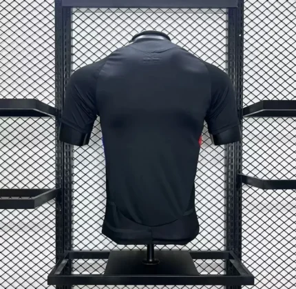 Olympique Lyonnais 2024/25 Away Jersey Player Version