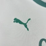 Palermo F.C. 2024/25 Third Jersey