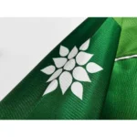 Palmeiras 1999 Libertador CUP Champipn Retro Jersey