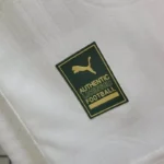 Palmeiras 2024/25 Home Jersey Player Version