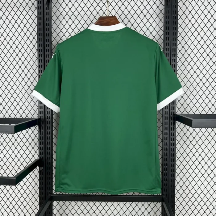 Palmeiras 2025/26 Home Jersey