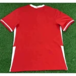 Poland 2020 Away Jersey