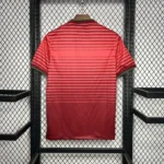 Portugal 2014 Home Retro Jersey