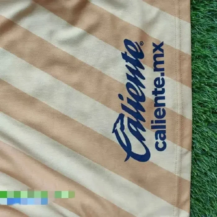 Pumas UNAM 2021 Third Kids Kit