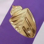 Real Valladolid 2022/23 Third Jersey
