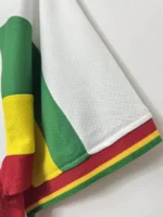Senegal 2002/2003 Home Retro Jersey
