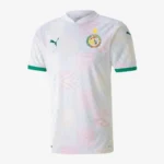 Senegal 2021 Home Jersey Player Version