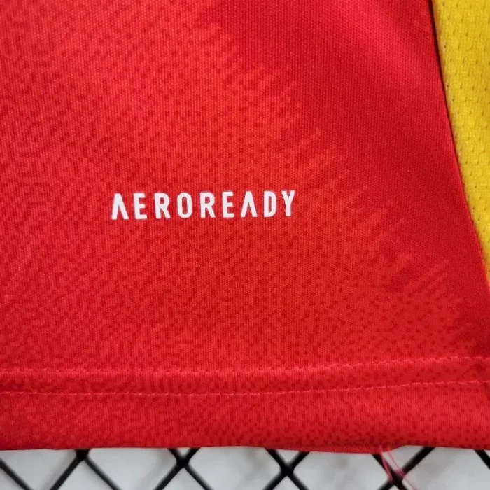 Spain 2024/25 Euro Home Jersey