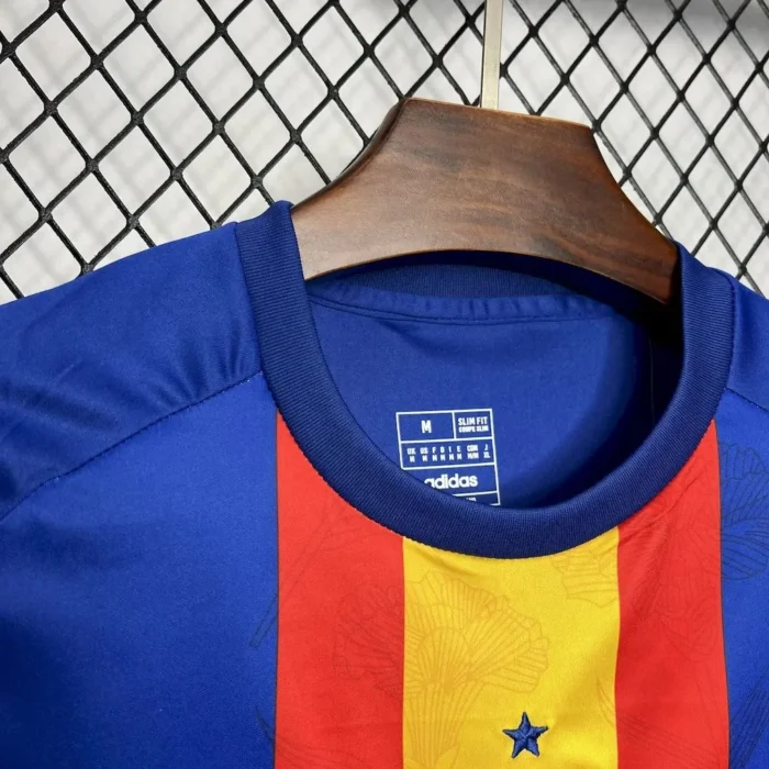 Spain 2024/25 Euro Pre-match training uniform Jersey