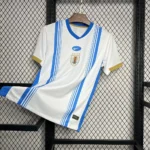 Uruguay 2024/25 Pre-match training Jersey
