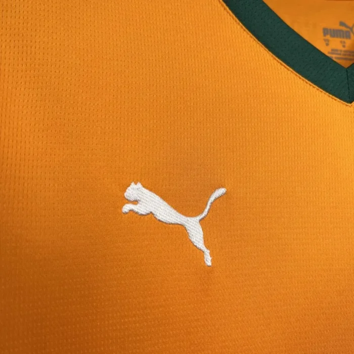 Valencia CF 2024/25 Third Jersey