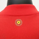 Wales 2020 Home Jersey