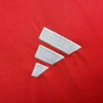 Wales 2024/25 Euro Away Jersey