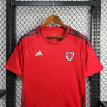 Wales 2024/25 Euro Away Jersey